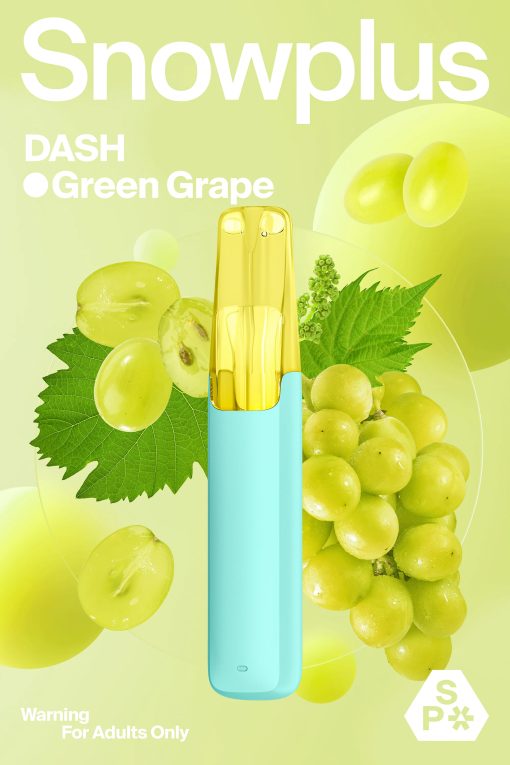 SNOWPLUS-DASH-4000puffs - Image 11