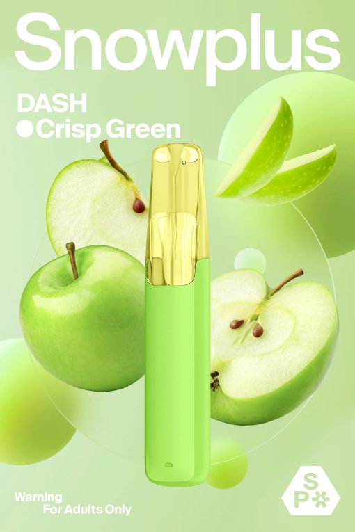 SNOWPLUS-DASH-4000puffs - Image 19