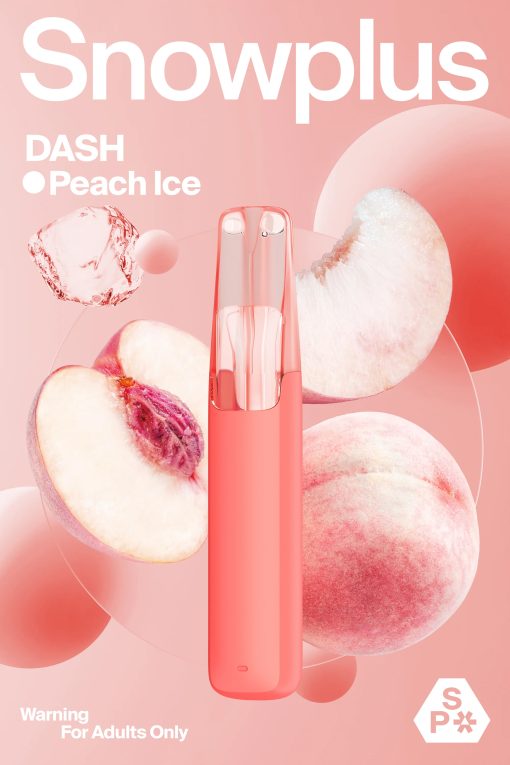SNOWPLUS-DASH-4000puffs - Image 15