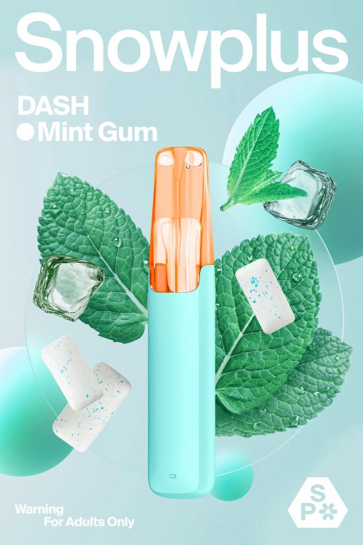SNOWPLUS-DASH-4000puffs - Image 16