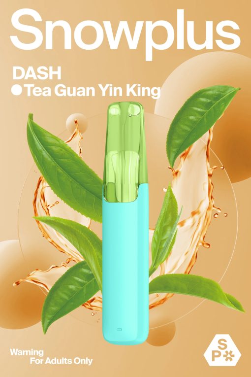 SNOWPLUS-DASH-4000puffs - Image 6