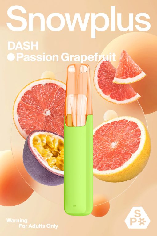 SNOWPLUS-DASH-4000puffs - Image 17