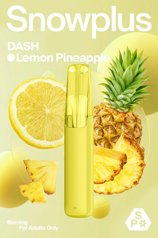 SNOWPLUS-DASH-4000puffs - Image 14