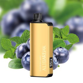 BLUEBERRY-MINT