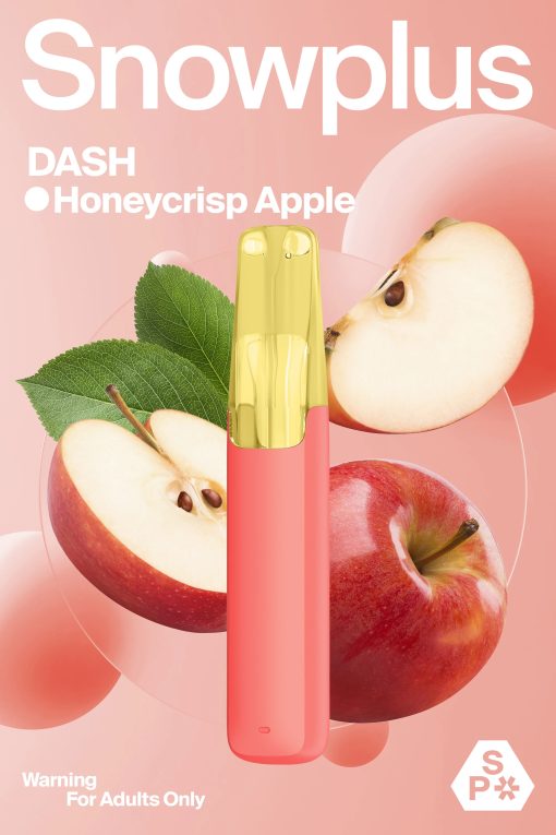 SNOWPLUS-DASH-4000puffs - Image 5
