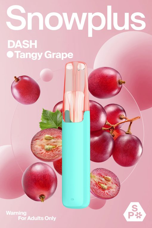 SNOWPLUS-DASH-4000puffs - Image 3